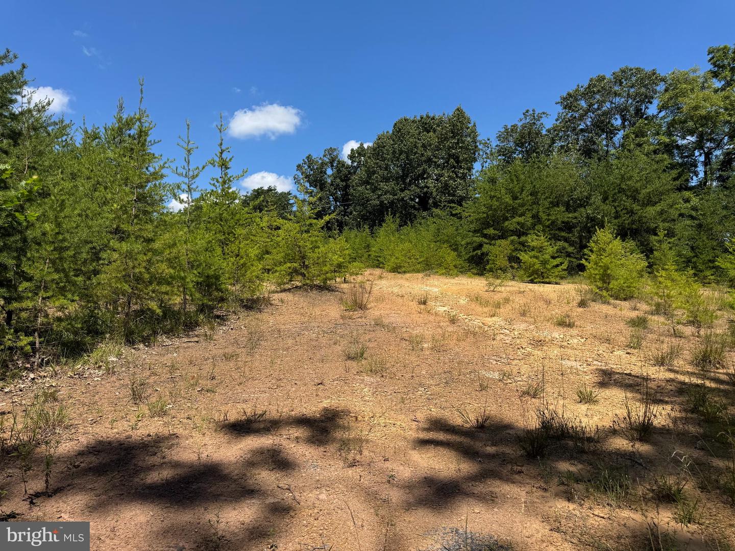 390 FLETCHER, GORE, Virginia 22637, ,Land,For sale,390 FLETCHER,VAFV2036016 MLS # VAFV2036016