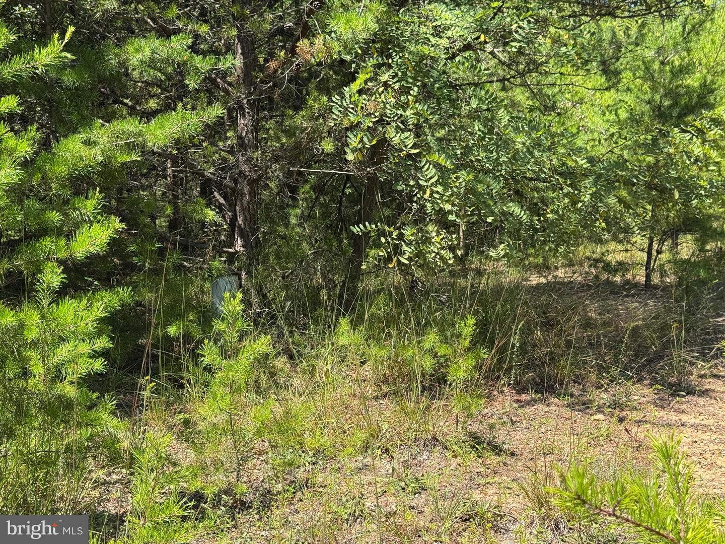 390 FLETCHER, GORE, Virginia 22637, ,Land,For sale,390 FLETCHER,VAFV2036016 MLS # VAFV2036016