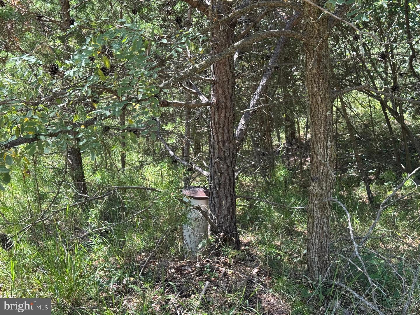 390 FLETCHER, GORE, Virginia 22637, ,Land,For sale,390 FLETCHER,VAFV2036016 MLS # VAFV2036016