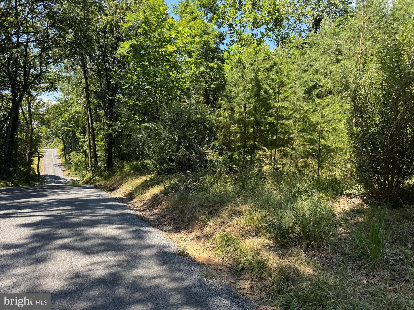 390 FLETCHER, GORE, Virginia 22637, ,Land,For sale,390 FLETCHER,VAFV2036016 MLS # VAFV2036016
