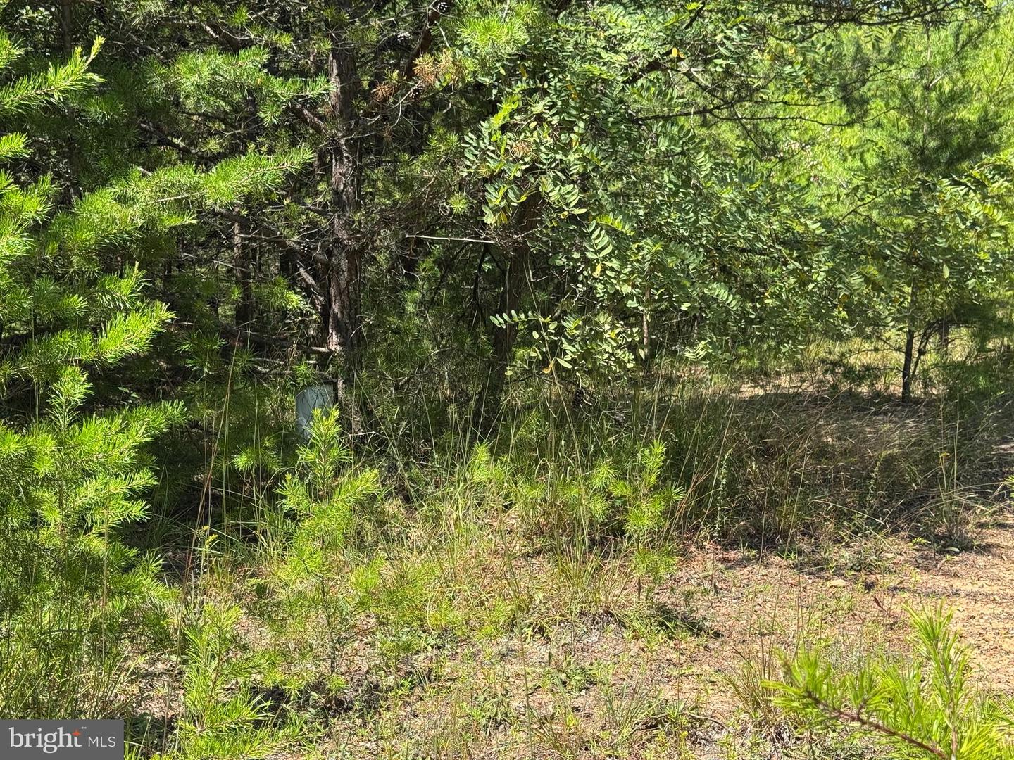 390 FLETCHER, GORE, Virginia 22637, ,Land,For sale,390 FLETCHER,VAFV2036016 MLS # VAFV2036016