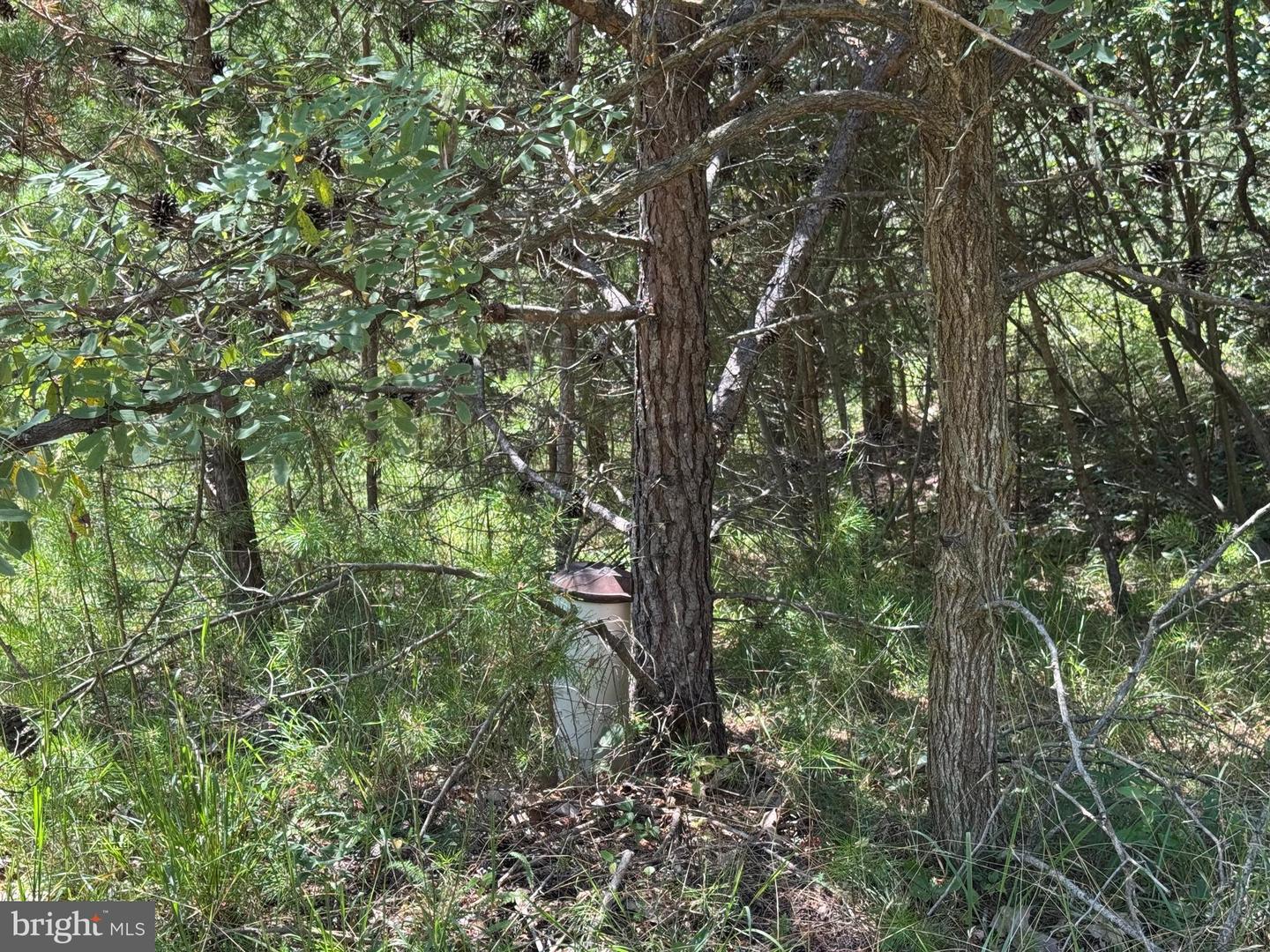 390 FLETCHER, GORE, Virginia 22637, ,Land,For sale,390 FLETCHER,VAFV2036016 MLS # VAFV2036016