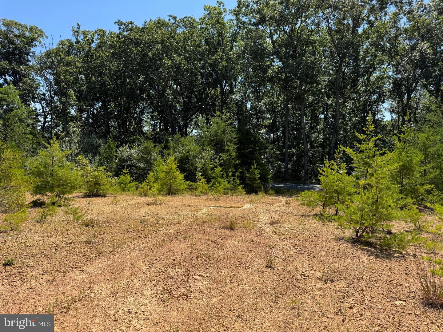 390 FLETCHER, GORE, Virginia 22637, ,Land,For sale,390 FLETCHER,VAFV2036016 MLS # VAFV2036016