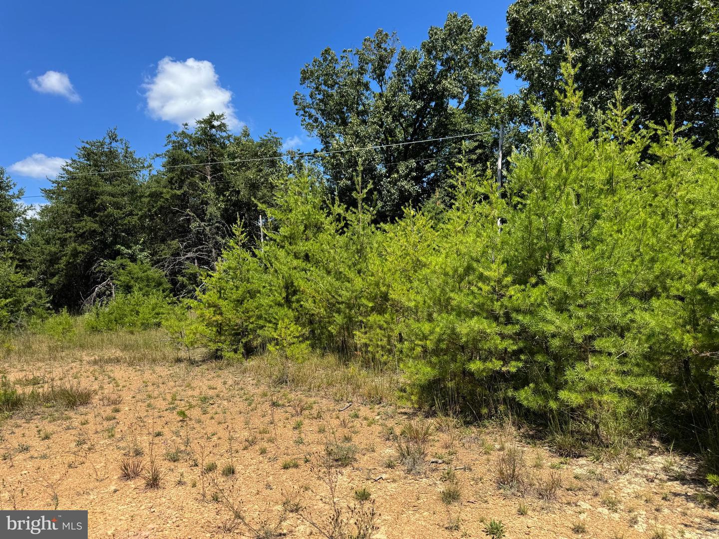 390 FLETCHER, GORE, Virginia 22637, ,Land,For sale,390 FLETCHER,VAFV2036016 MLS # VAFV2036016