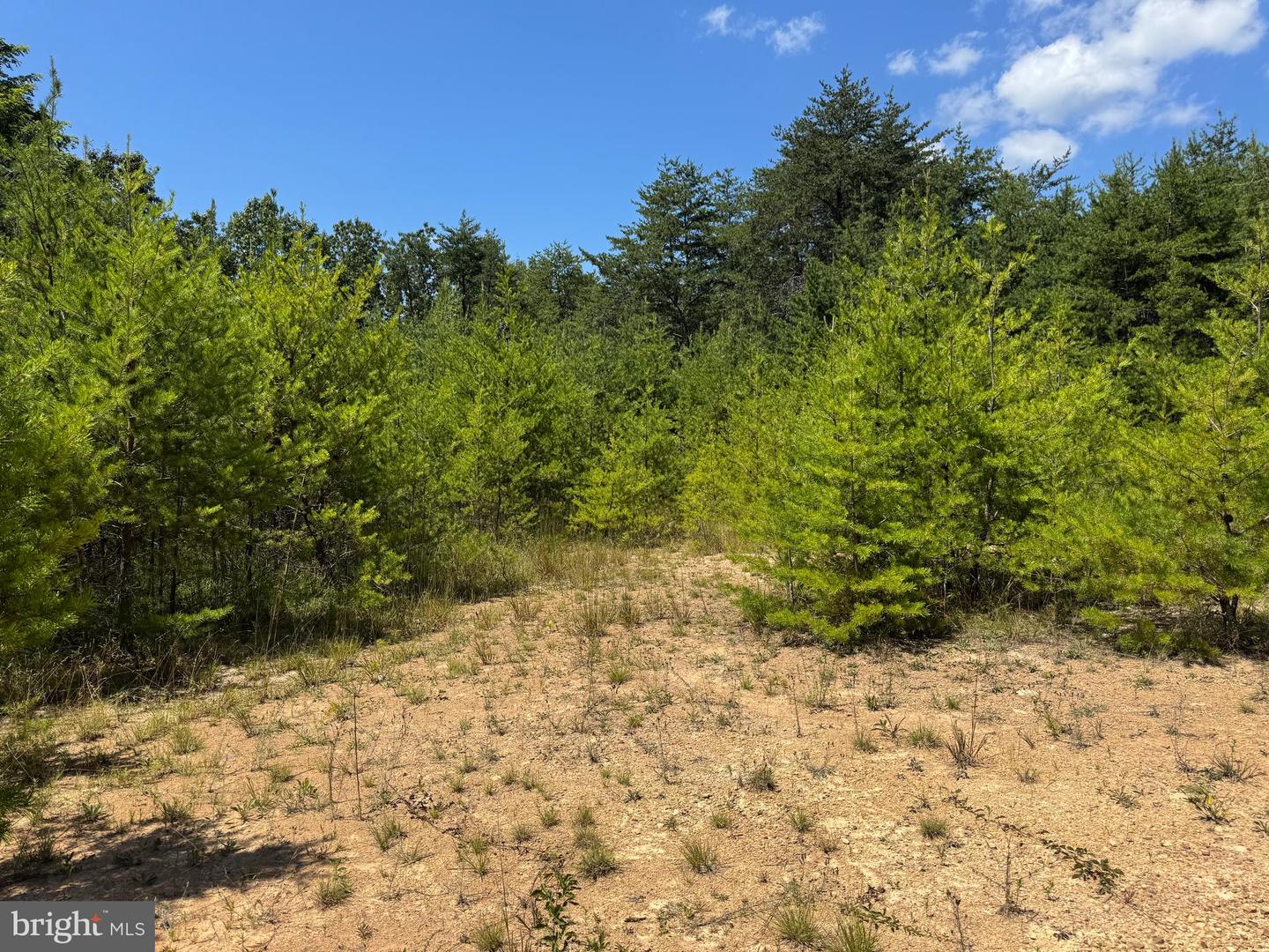 390 FLETCHER, GORE, Virginia 22637, ,Land,For sale,390 FLETCHER,VAFV2036016 MLS # VAFV2036016