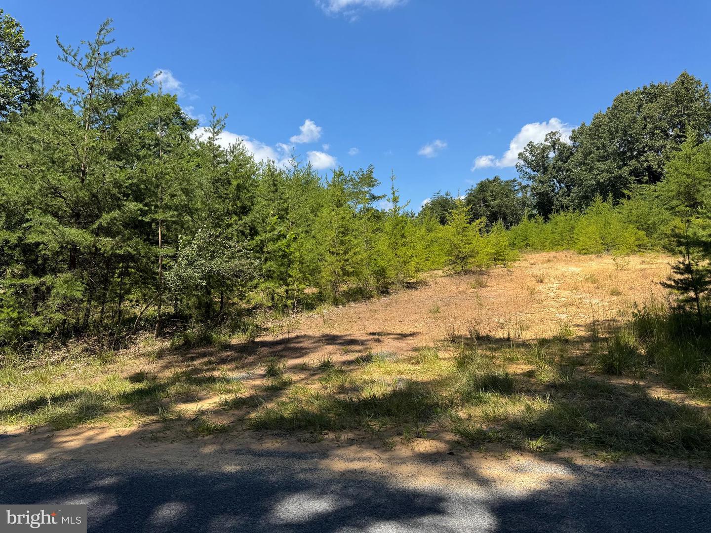 390 FLETCHER, GORE, Virginia 22637, ,Land,For sale,390 FLETCHER,VAFV2036016 MLS # VAFV2036016