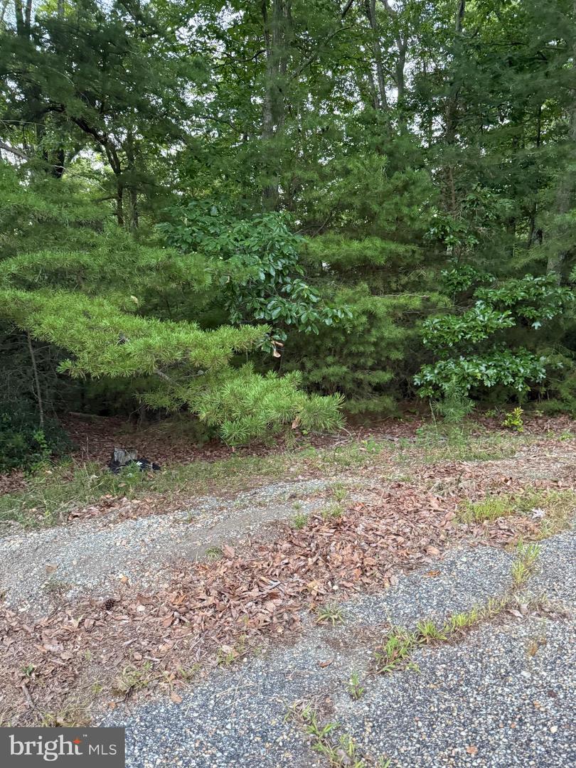 LOT 38 AND 39 CALVARY, MONTROSS, Virginia 22520, ,Land,For sale,LOT 38 AND 39 CALVARY,VAWE2009542 MLS # VAWE2009542