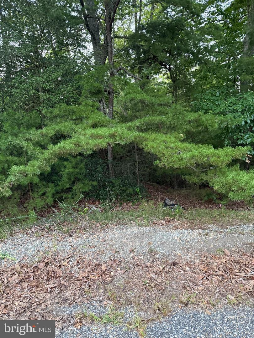 LOT 38 AND 39 CALVARY, MONTROSS, Virginia 22520, ,Land,For sale,LOT 38 AND 39 CALVARY,VAWE2009542 MLS # VAWE2009542
