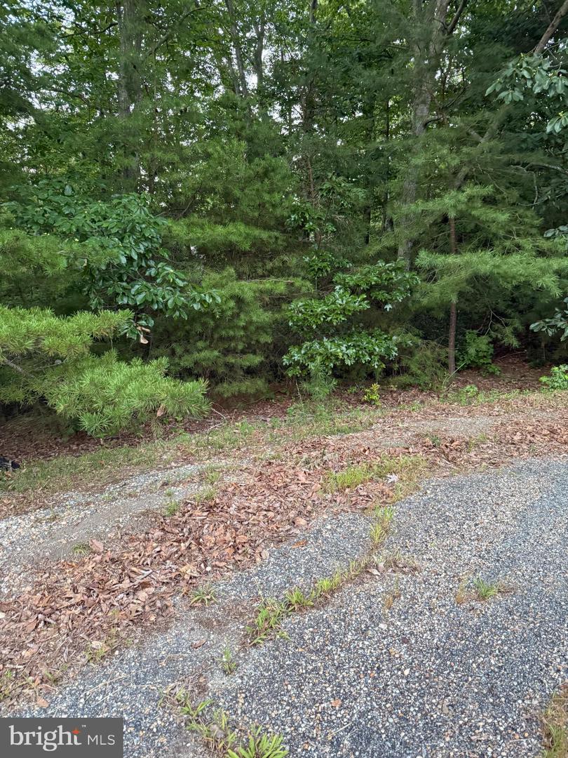 LOT 38 AND 39 CALVARY, MONTROSS, Virginia 22520, ,Land,For sale,LOT 38 AND 39 CALVARY,VAWE2009542 MLS # VAWE2009542