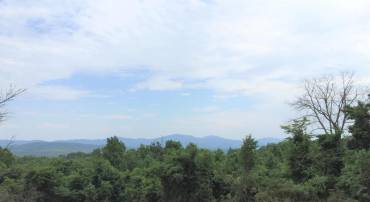 6 ORCHARD RIDGE RD, GREENWOOD, Virginia 22943, ,Land,For sale,6 ORCHARD RIDGE RD,667797 MLS # 667797