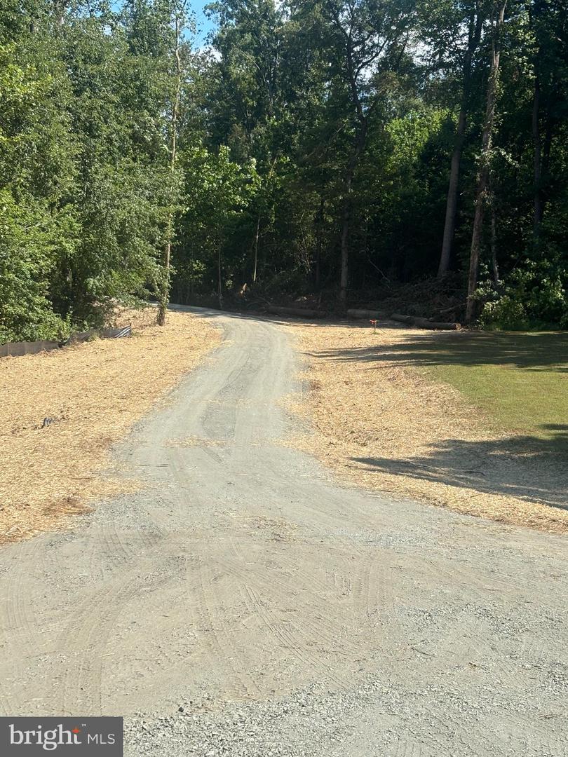 00-TBD W HOOVER, REVA, Virginia 22735, ,Farm,For sale,00-TBD W HOOVER,VAMA2002364 MLS # VAMA2002364