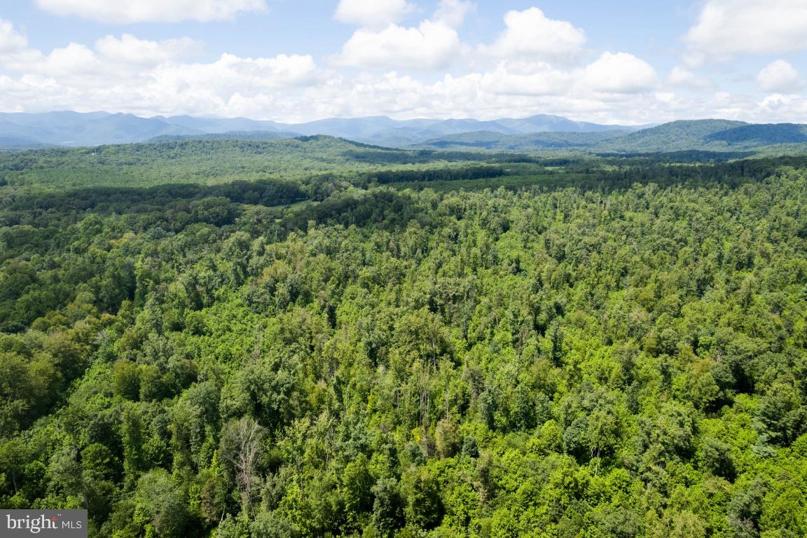 00-TBD W HOOVER, REVA, Virginia 22735, ,Farm,For sale,00-TBD W HOOVER,VAMA2002364 MLS # VAMA2002364