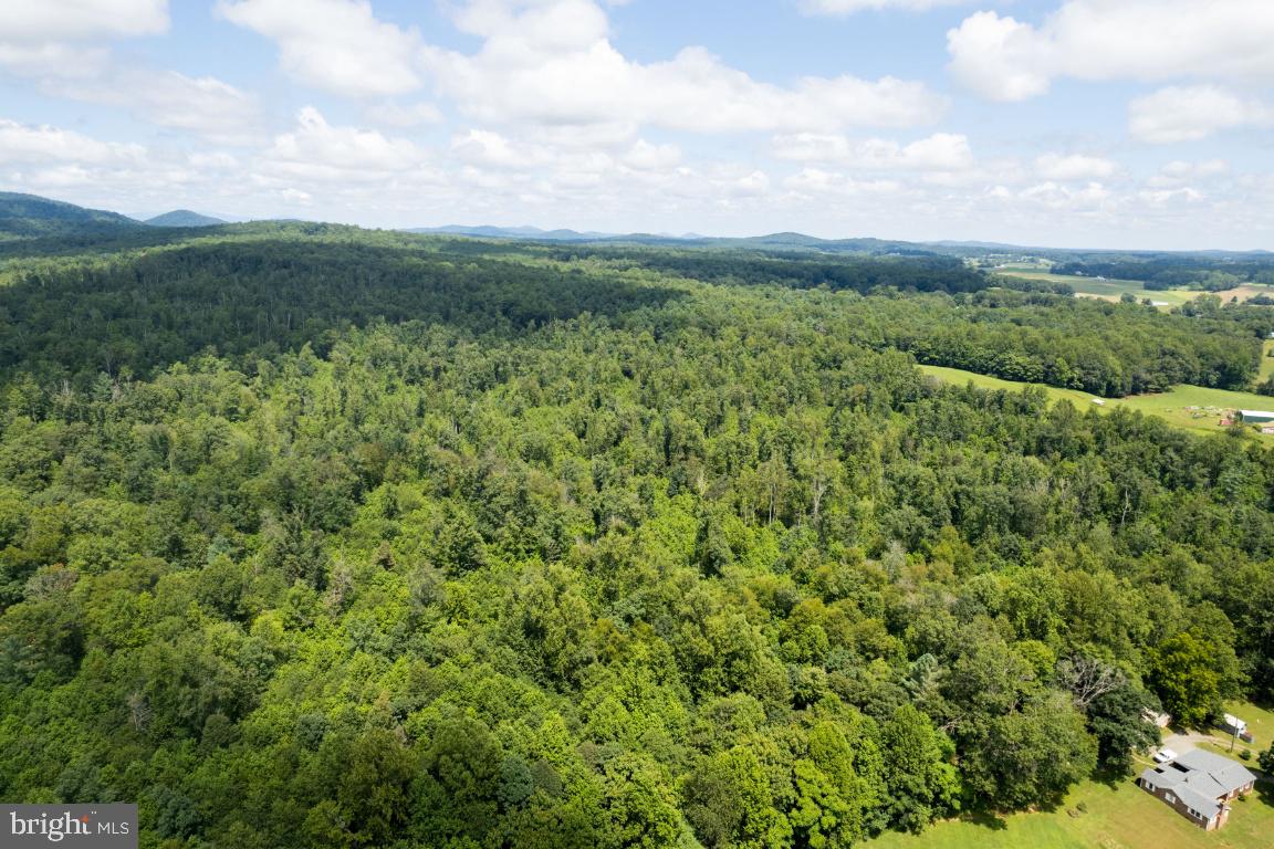 00-TBD W HOOVER, REVA, Virginia 22735, ,Farm,For sale,00-TBD W HOOVER,VAMA2002364 MLS # VAMA2002364