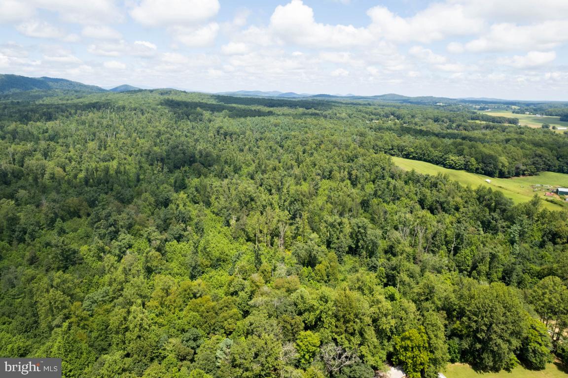 00-TBD W HOOVER, REVA, Virginia 22735, ,Farm,For sale,00-TBD W HOOVER,VAMA2002364 MLS # VAMA2002364