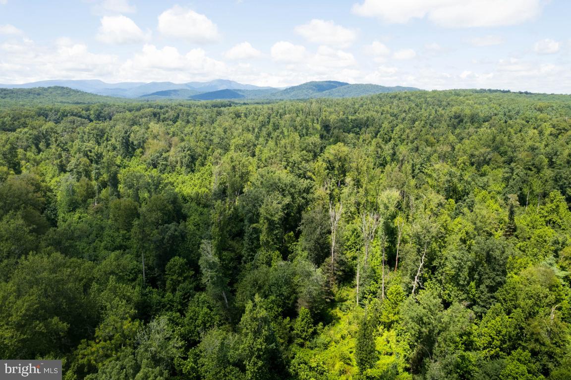 00-TBD W HOOVER, REVA, Virginia 22735, ,Farm,For sale,00-TBD W HOOVER,VAMA2002364 MLS # VAMA2002364