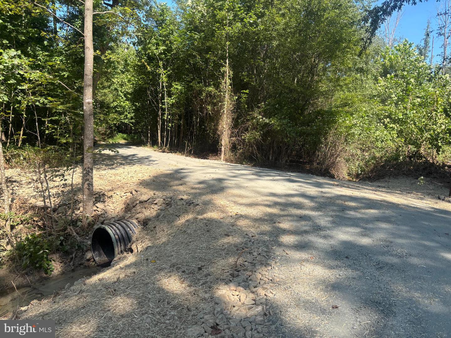 00-TBD W HOOVER, REVA, Virginia 22735, ,Farm,For sale,00-TBD W HOOVER,VAMA2002364 MLS # VAMA2002364
