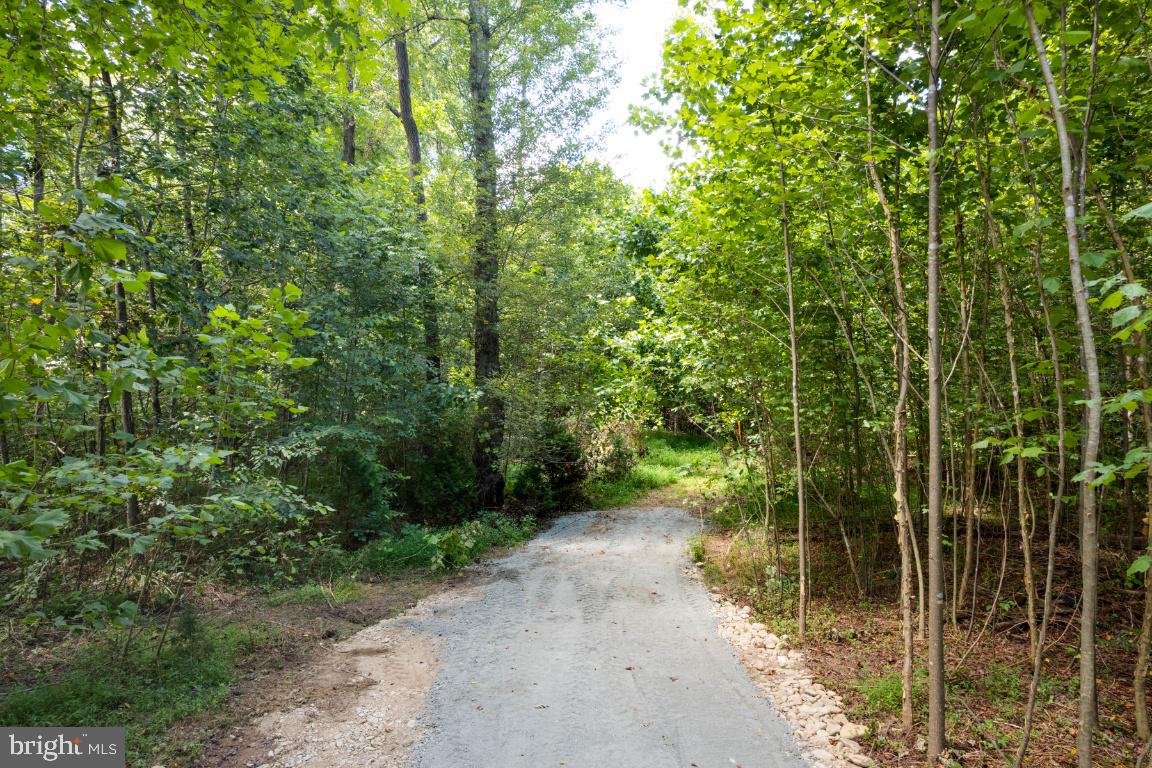 00-TBD W HOOVER, REVA, Virginia 22735, ,Farm,For sale,00-TBD W HOOVER,VAMA2002364 MLS # VAMA2002364