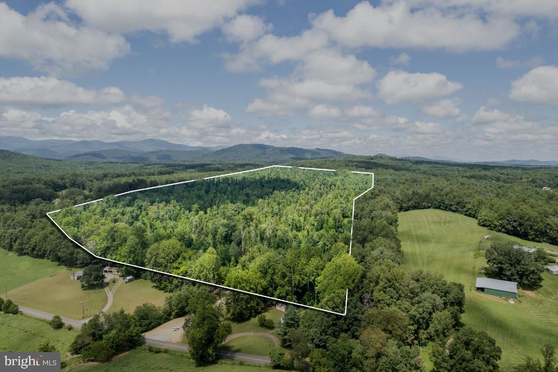 00-TBD W HOOVER, REVA, Virginia 22735, ,Farm,For sale,00-TBD W HOOVER,VAMA2002364 MLS # VAMA2002364