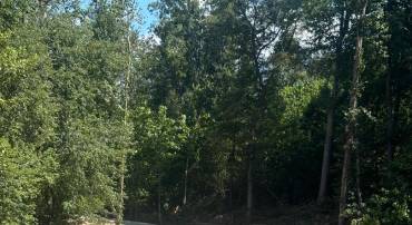 00-TBD W HOOVER, REVA, Virginia 22735, ,Farm,For sale,00-TBD W HOOVER,VAMA2002364 MLS # VAMA2002364