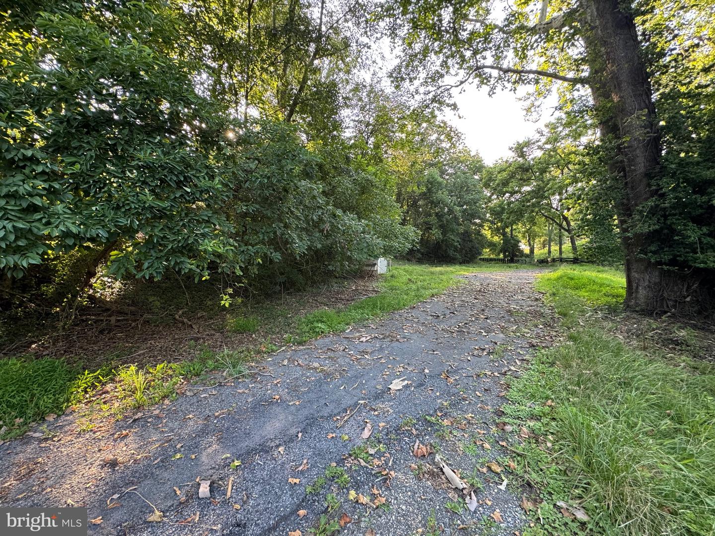 400 BOWMAN RD, FRONT ROYAL, Virginia 22630, ,Land,For sale,400 BOWMAN RD,VAWR2011960 MLS # VAWR2011960