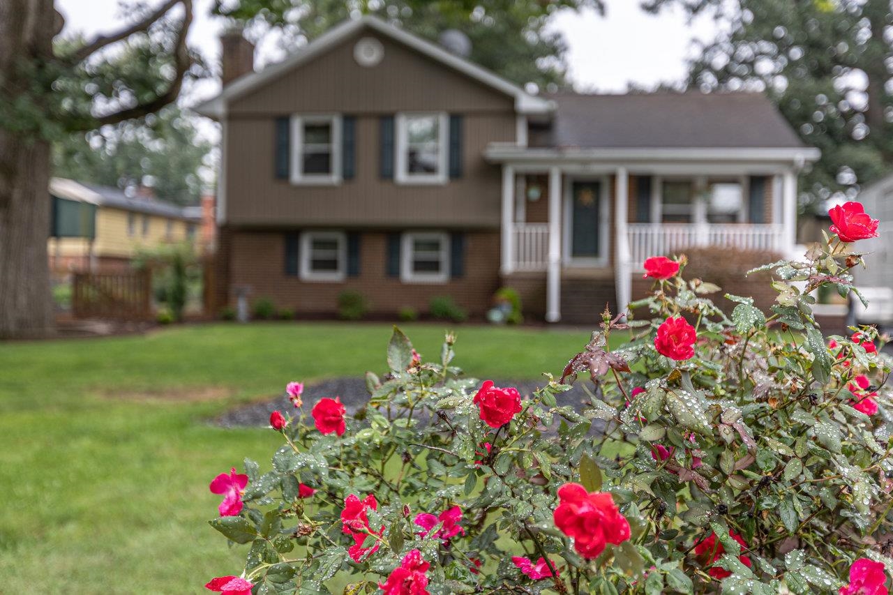 1107 WOODLEIGH CT, HARRISONBURG, Virginia 22802, 3 Bedrooms Bedrooms, ,2 BathroomsBathrooms,Residential,1107 WOODLEIGH CT,667794 MLS # 667794