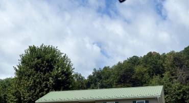 10909 COOK TOWN RD, BRIDGEWATER, Virginia 22812, 3 Bedrooms Bedrooms, ,2 BathroomsBathrooms,Residential,10909 COOK TOWN RD,667800 MLS # 667800