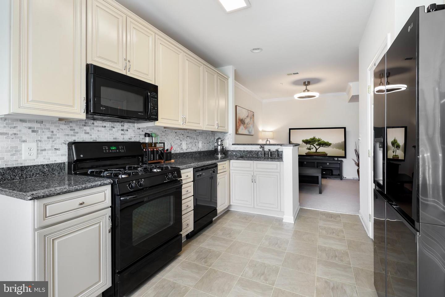 43890 HICKORY CORNER TER #103, ASHBURN, Virginia 20147, 2 Bedrooms Bedrooms, ,2 BathroomsBathrooms,Residential,For sale,43890 HICKORY CORNER TER #103,VALO2104148 MLS # VALO2104148