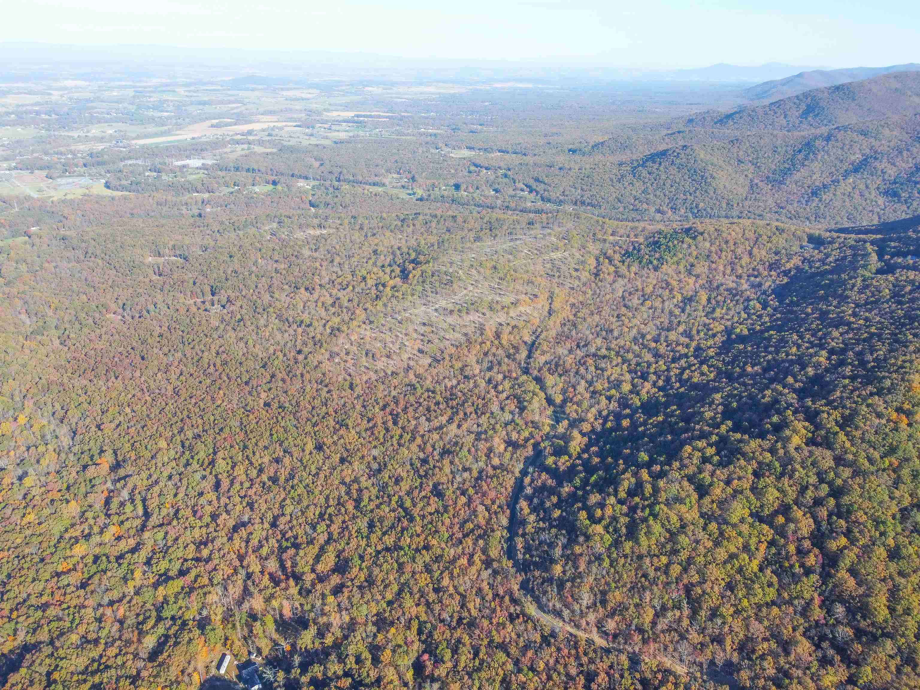 0 CALF MOUNTAIN RD, WAYNESBORO, Virginia 22980, ,Farm,0 CALF MOUNTAIN RD,667816 MLS # 667816