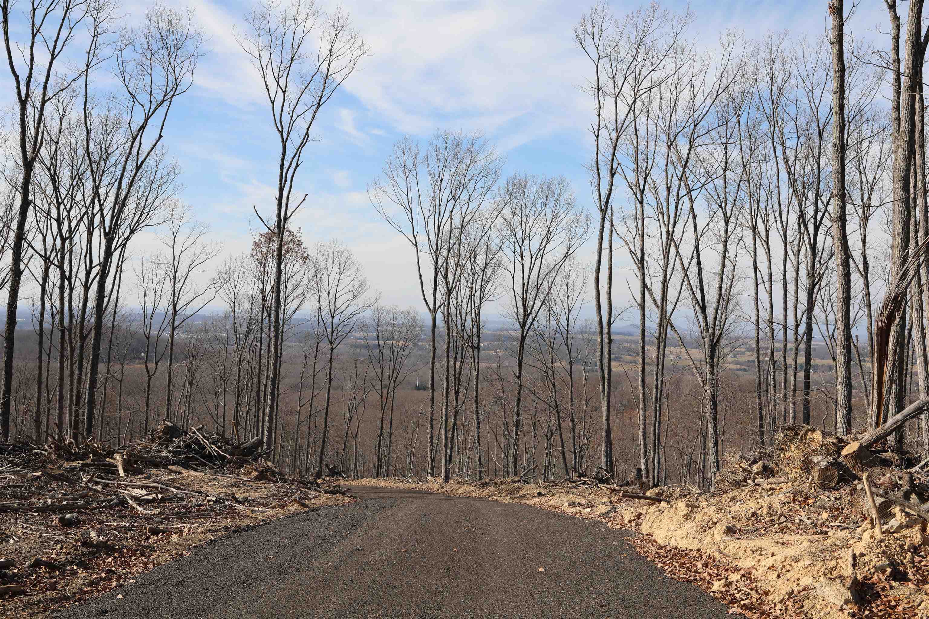 0 CALF MOUNTAIN RD, WAYNESBORO, Virginia 22980, ,Farm,0 CALF MOUNTAIN RD,667816 MLS # 667816