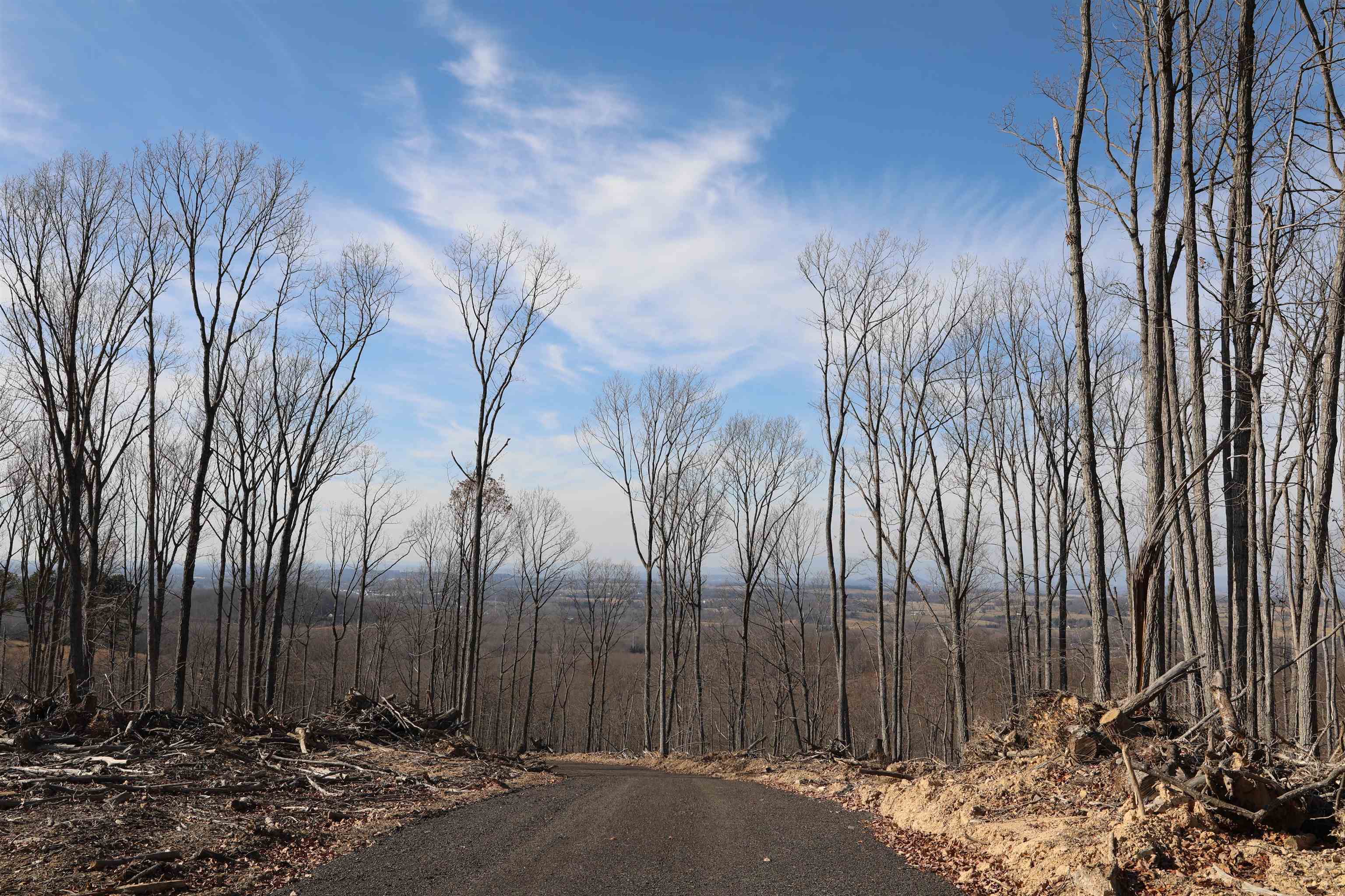 0 CALF MOUNTAIN RD, WAYNESBORO, Virginia 22980, ,Farm,0 CALF MOUNTAIN RD,667816 MLS # 667816