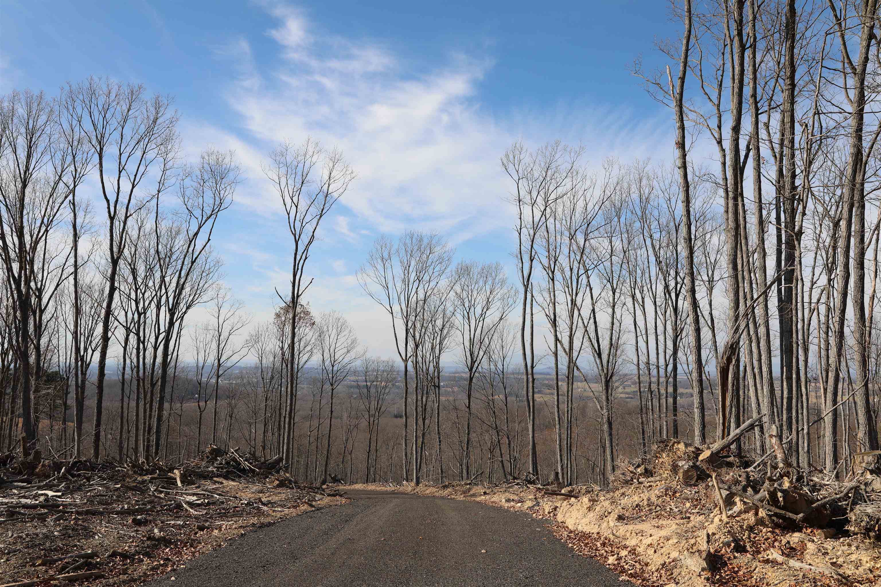 0 CALF MOUNTAIN RD, WAYNESBORO, Virginia 22980, ,Farm,0 CALF MOUNTAIN RD,667816 MLS # 667816