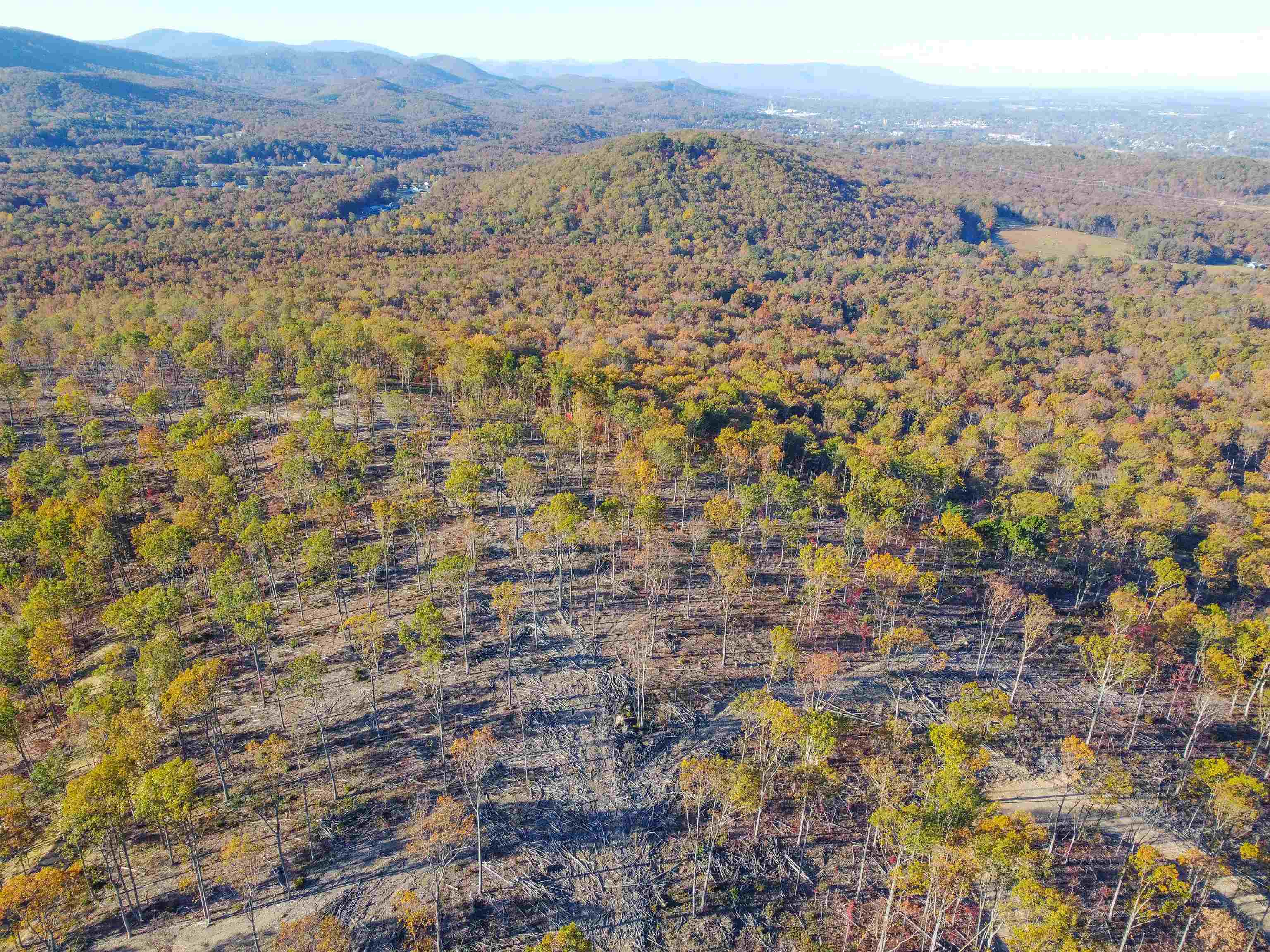 0 CALF MOUNTAIN RD, WAYNESBORO, Virginia 22980, ,Farm,0 CALF MOUNTAIN RD,667816 MLS # 667816