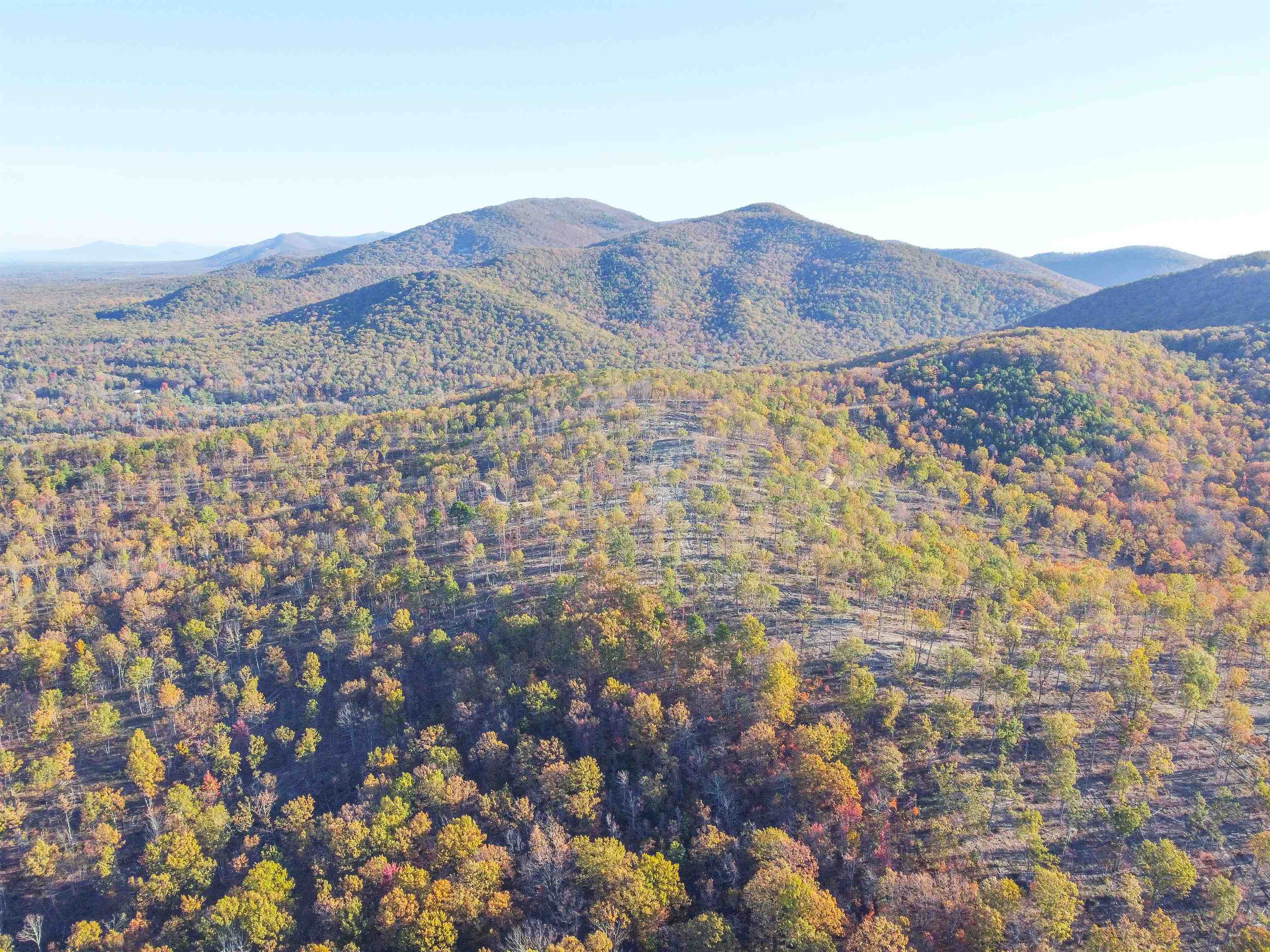 0 CALF MOUNTAIN RD, WAYNESBORO, Virginia 22980, ,Farm,0 CALF MOUNTAIN RD,667816 MLS # 667816