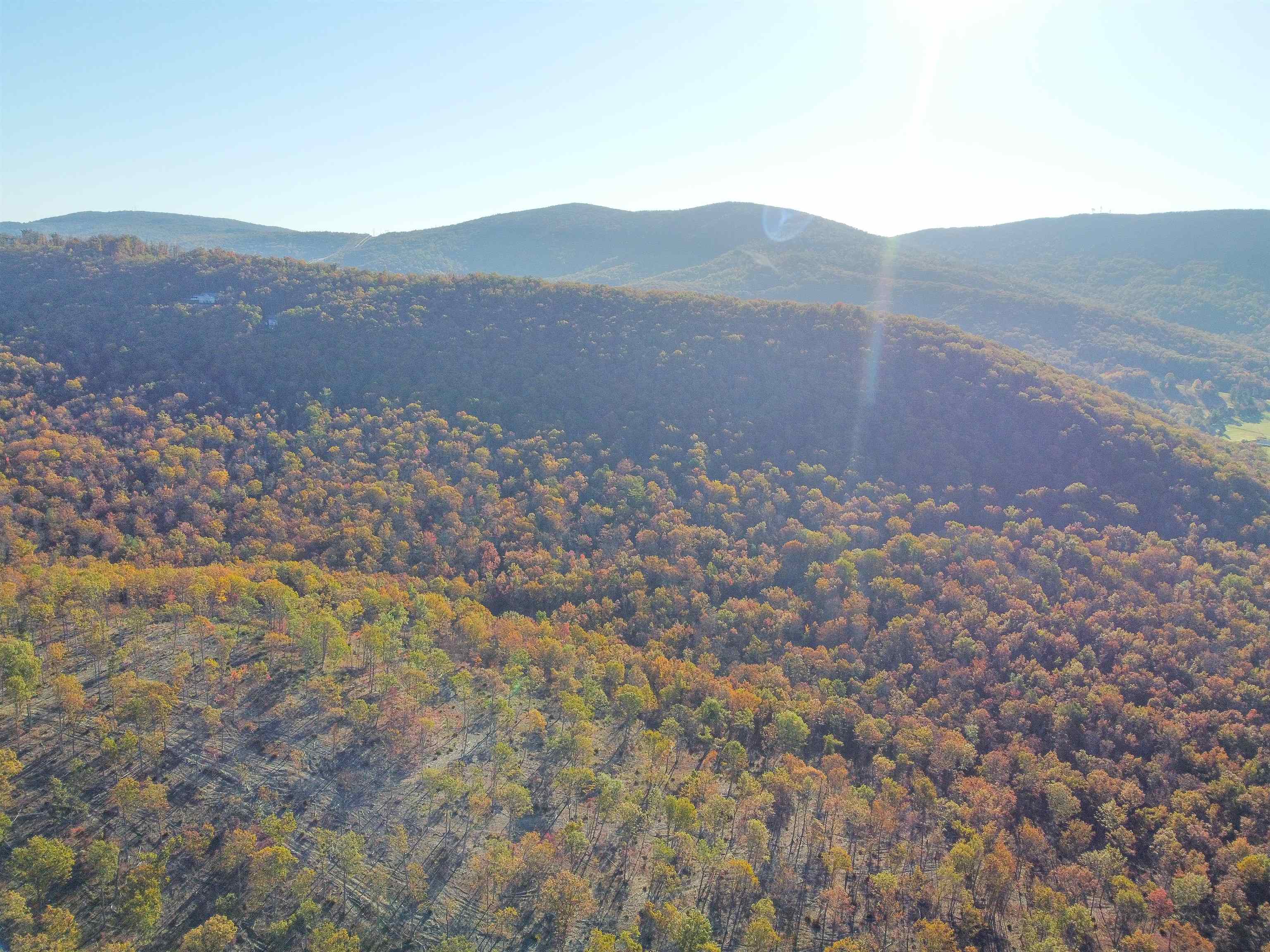 0 CALF MOUNTAIN RD, WAYNESBORO, Virginia 22980, ,Farm,0 CALF MOUNTAIN RD,667816 MLS # 667816