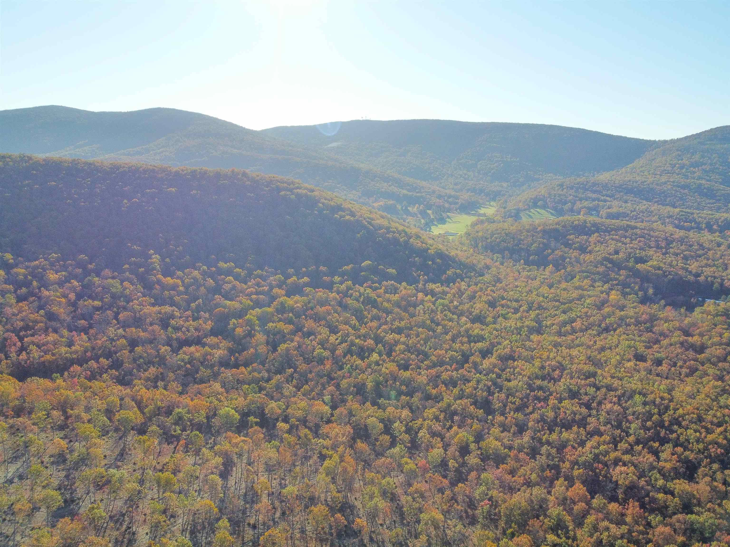 0 CALF MOUNTAIN RD, WAYNESBORO, Virginia 22980, ,Farm,0 CALF MOUNTAIN RD,667816 MLS # 667816