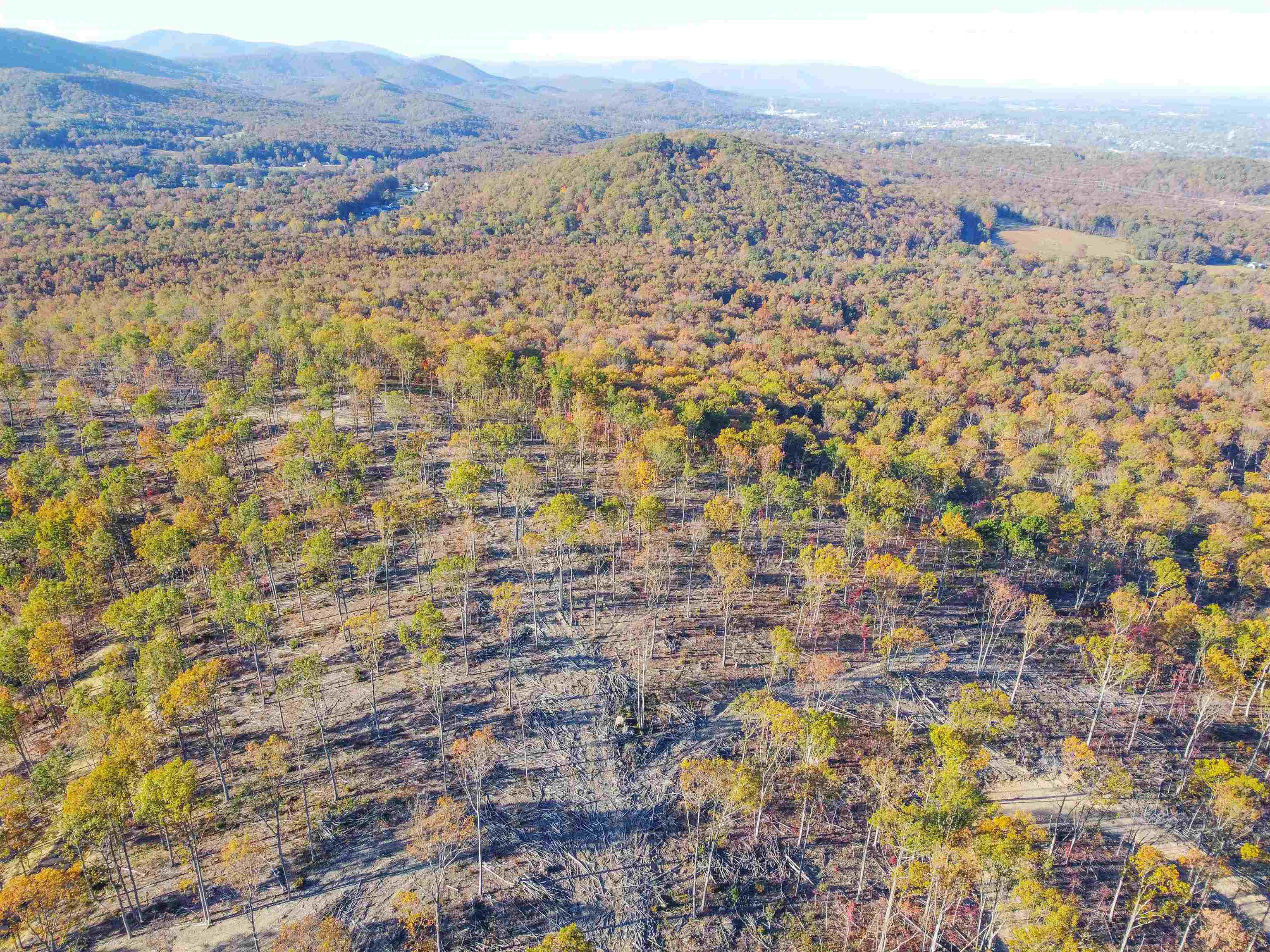 0 CALF MOUNTAIN RD, WAYNESBORO, Virginia 22980, ,Farm,0 CALF MOUNTAIN RD,667816 MLS # 667816