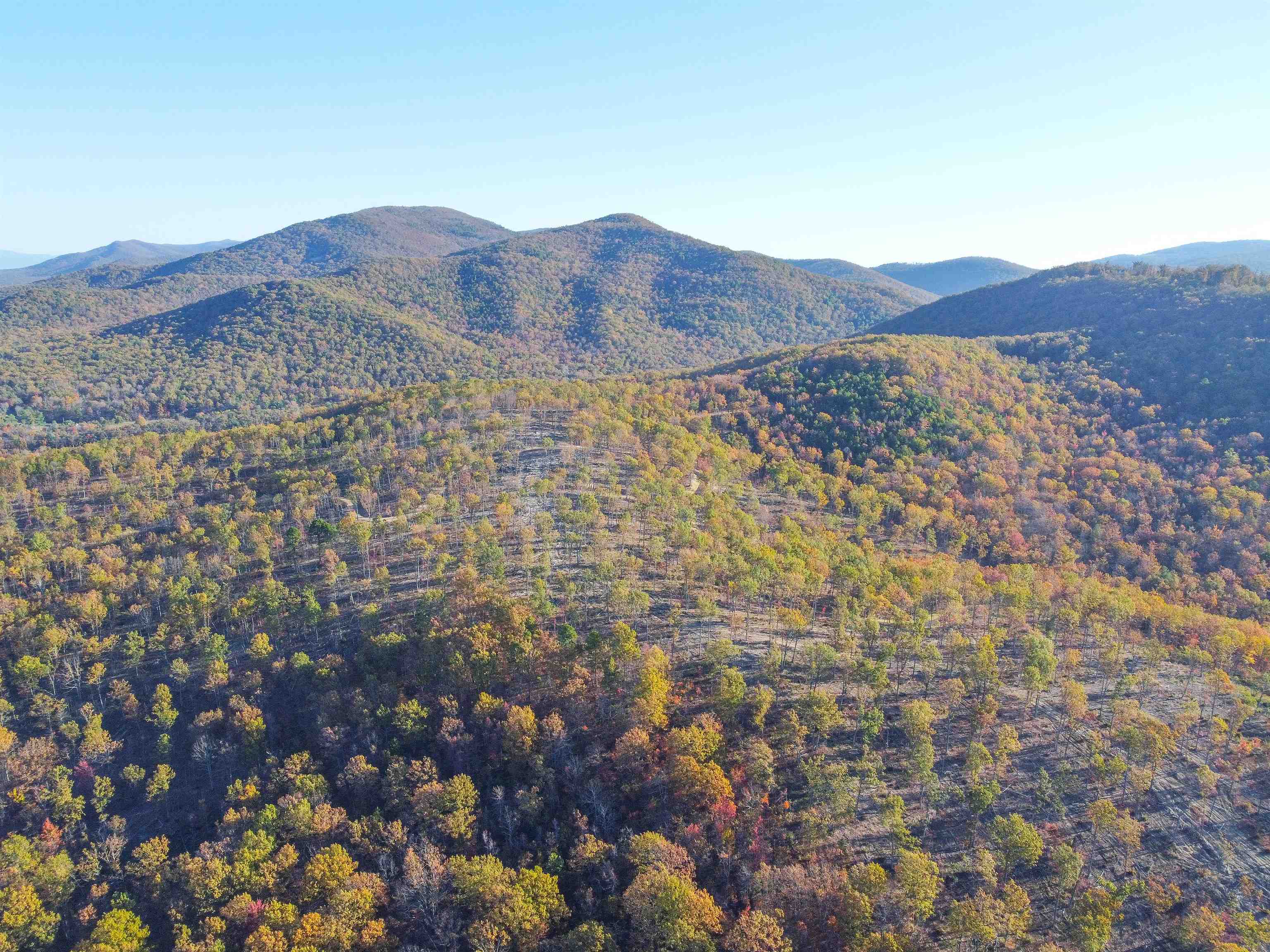 0 CALF MOUNTAIN RD, WAYNESBORO, Virginia 22980, ,Farm,0 CALF MOUNTAIN RD,667816 MLS # 667816