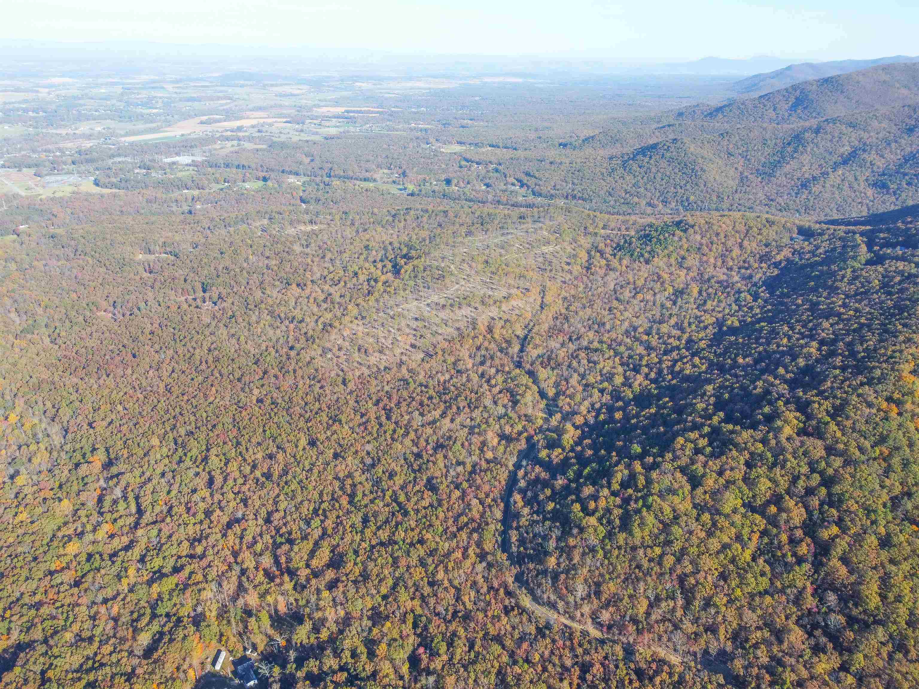 0 CALF MOUNTAIN RD, WAYNESBORO, Virginia 22980, ,Farm,0 CALF MOUNTAIN RD,667816 MLS # 667816