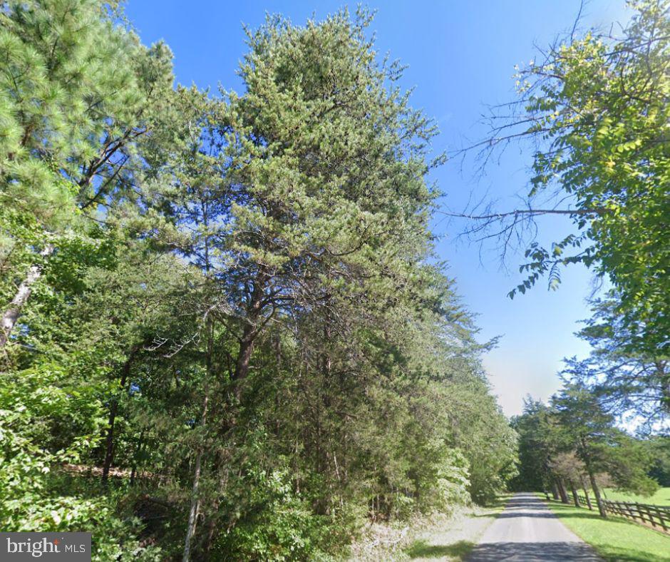 00 STONY CREEK RD, LYNCH STATION, Virginia 24571, ,Land,For sale,00 STONY CREEK RD,VACP2000084 MLS # VACP2000084