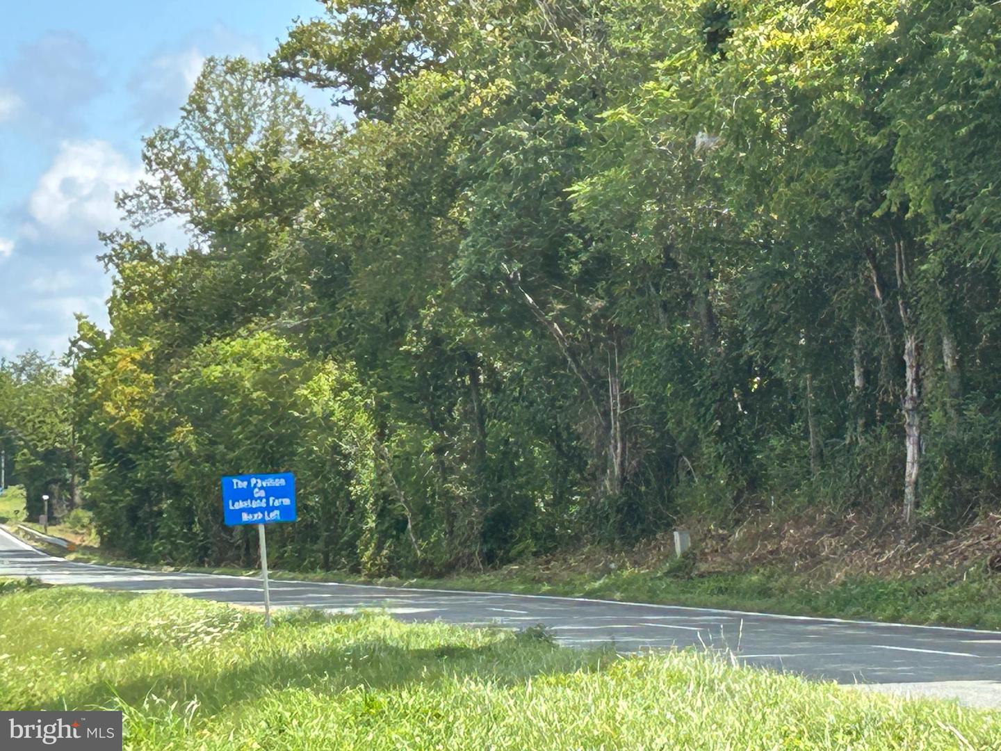 0 JAMES MADISON HWY, ORANGE, Virginia 22960, ,Land,For sale,0 JAMES MADISON HWY,VAOR2010454 MLS # VAOR2010454