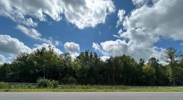14138 JAMES MADISON HWY, ORANGE, Virginia 22960, ,Land,For sale,14138 JAMES MADISON HWY,VAOR2010454 MLS # VAOR2010454