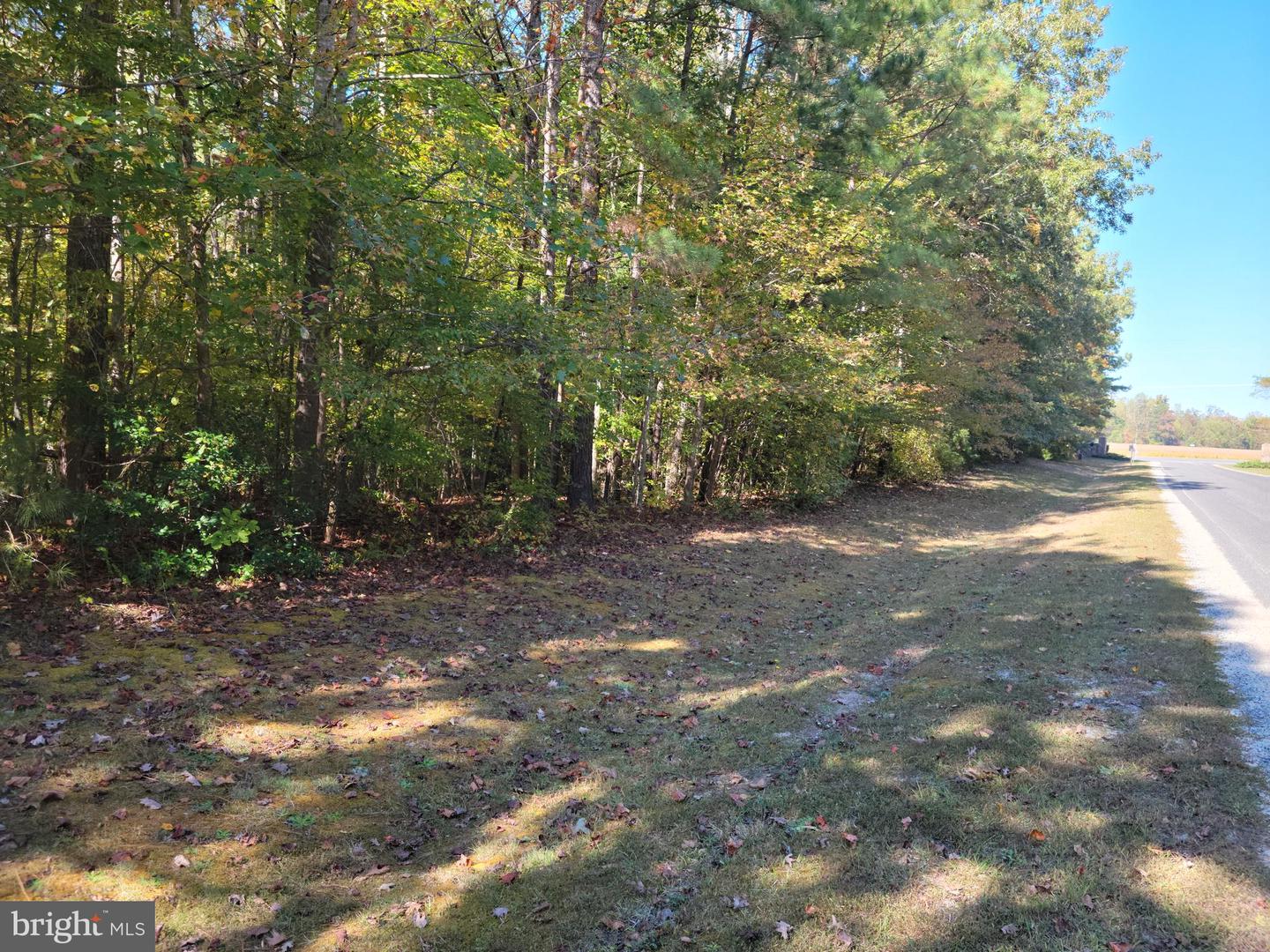 LOT 16 STEAMBOAT LN, HEATHSVILLE, Virginia 22473, ,Land,For sale,LOT 16 STEAMBOAT LN,VANV2001726 MLS # VANV2001726