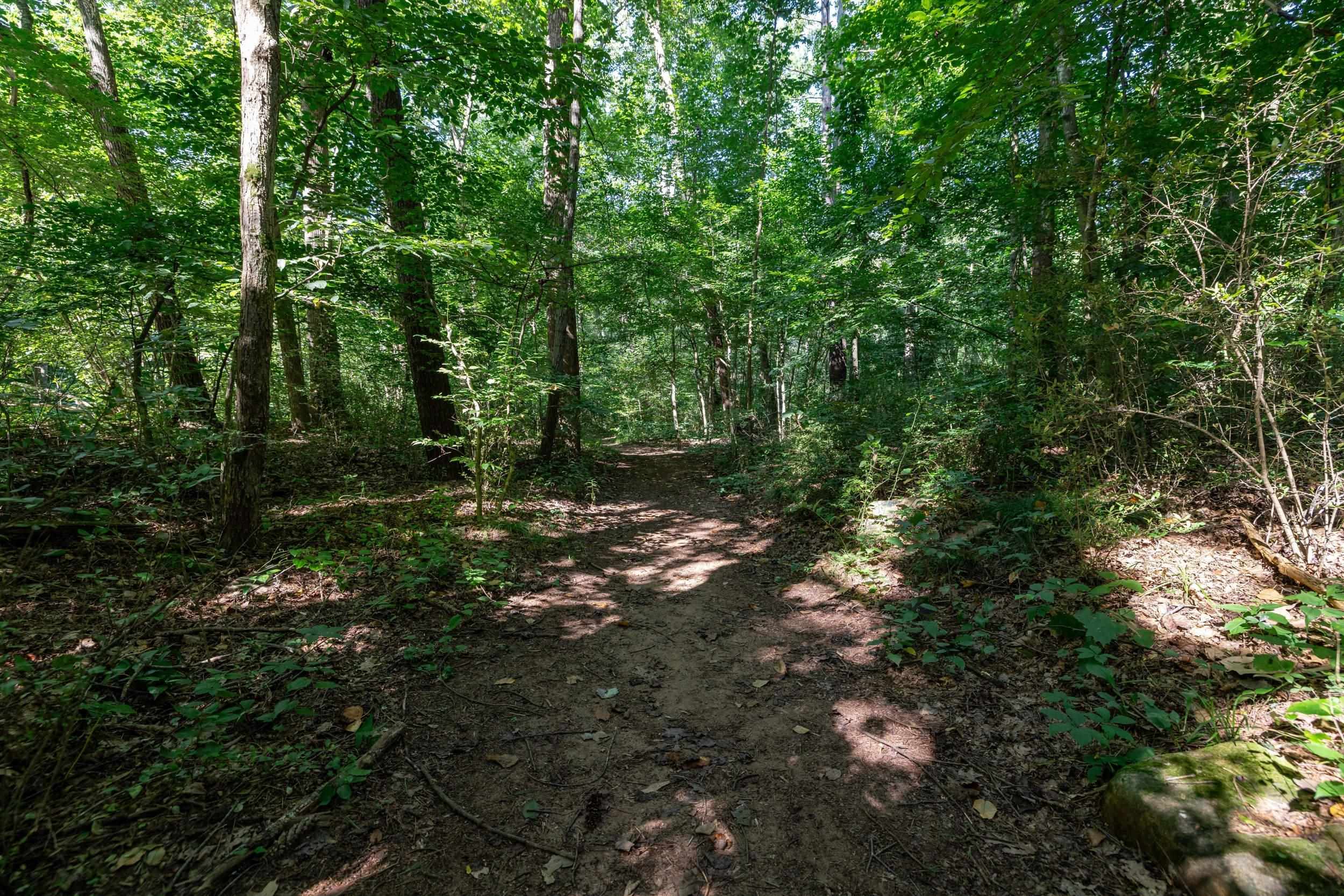 409 & 431 LOWER RAWLEY LN, HINTON, Virginia 22831, 2 Bedrooms Bedrooms, ,2 BathroomsBathrooms,Residential,409 & 431 LOWER RAWLEY LN,667833 MLS # 667833