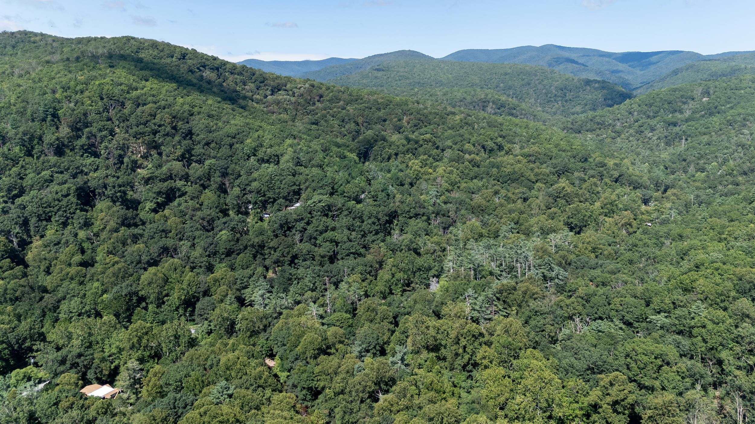 409 & 431 LOWER RAWLEY LN, HINTON, Virginia 22831, 2 Bedrooms Bedrooms, ,2 BathroomsBathrooms,Residential,409 & 431 LOWER RAWLEY LN,667833 MLS # 667833