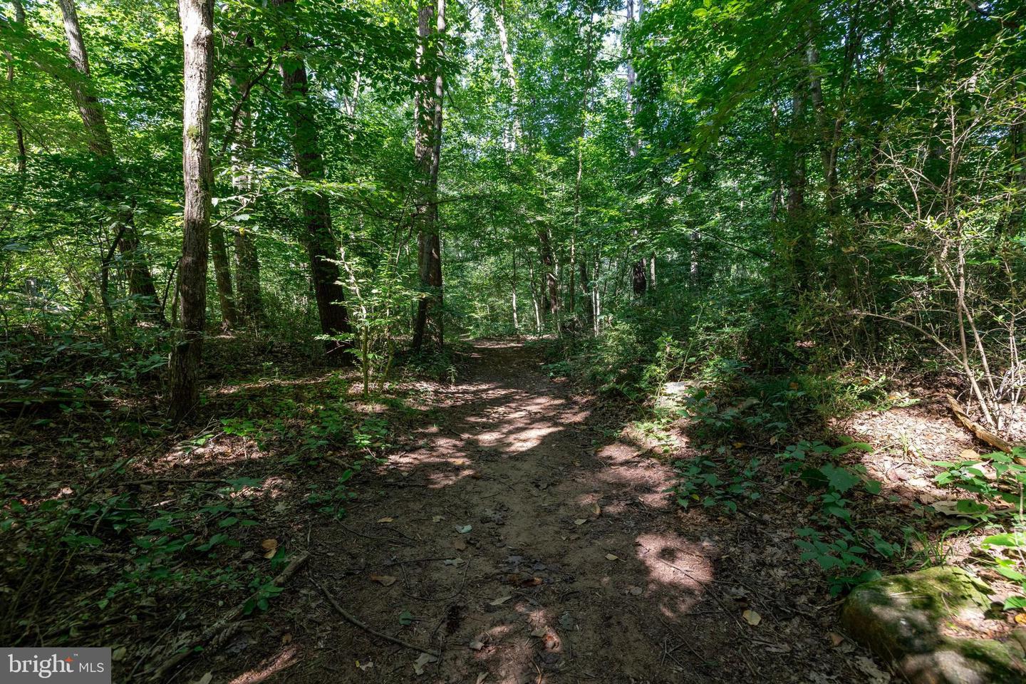 409 & 431 LOWER RAWLEY LN, HINTON, Virginia 22831, 2 Bedrooms Bedrooms, ,2 BathroomsBathrooms,Residential,For sale,409 & 431 LOWER RAWLEY LN,VARO2002492 MLS # VARO2002492