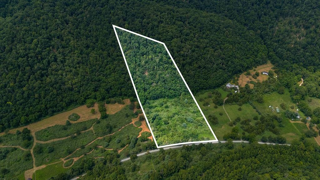 TBD COWPASTURE RIVER RD S, WILLIAMSVILLE, Virginia 24487, ,Land,TBD COWPASTURE RIVER RD S,667841 MLS # 667841