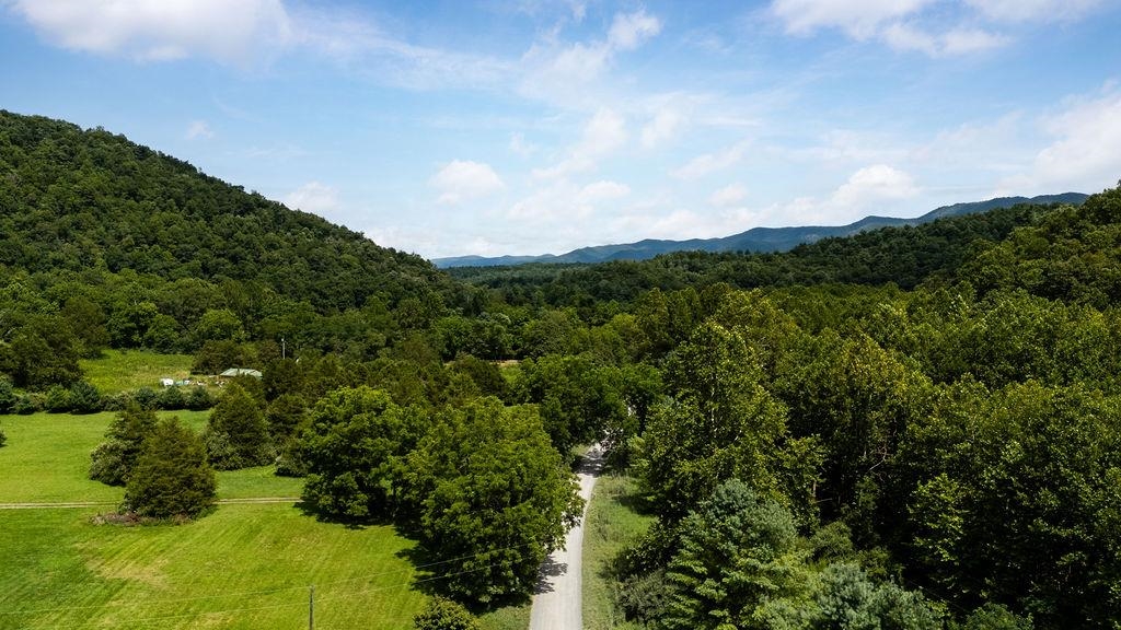 TBD COWPASTURE RIVER RD S, WILLIAMSVILLE, Virginia 24487, ,Land,TBD COWPASTURE RIVER RD S,667841 MLS # 667841