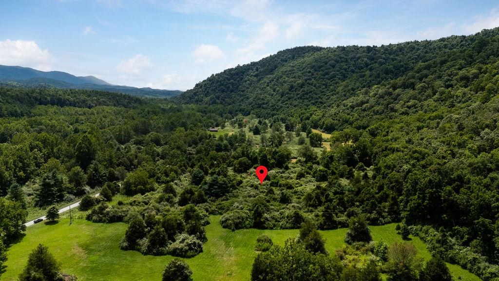 TBD COWPASTURE RIVER RD S, WILLIAMSVILLE, Virginia 24487, ,Land,TBD COWPASTURE RIVER RD S,667841 MLS # 667841