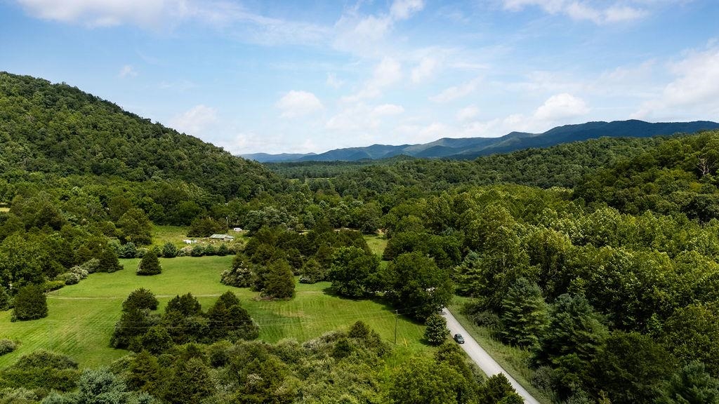 TBD COWPASTURE RIVER RD S, WILLIAMSVILLE, Virginia 24487, ,Land,TBD COWPASTURE RIVER RD S,667841 MLS # 667841
