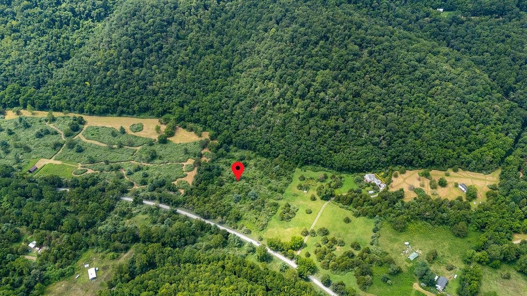 TBD COWPASTURE RIVER RD S, WILLIAMSVILLE, Virginia 24487, ,Land,TBD COWPASTURE RIVER RD S,667841 MLS # 667841